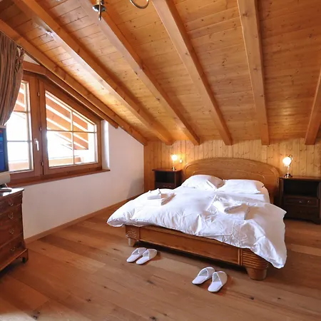 Haus Bergere Kocher Apartment Zermatt